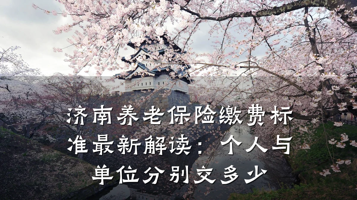 济南养老保险缴费标准最新解读：个人与单位分别交多少