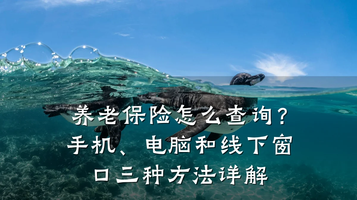 养老保险怎么查询?手机、电脑和线下窗口三种方法详解