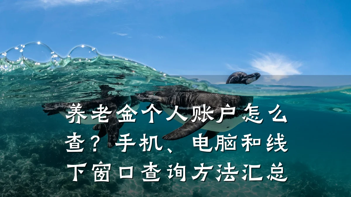 养老金个人账户怎么查？手机、电脑和线下窗口查询方法汇总