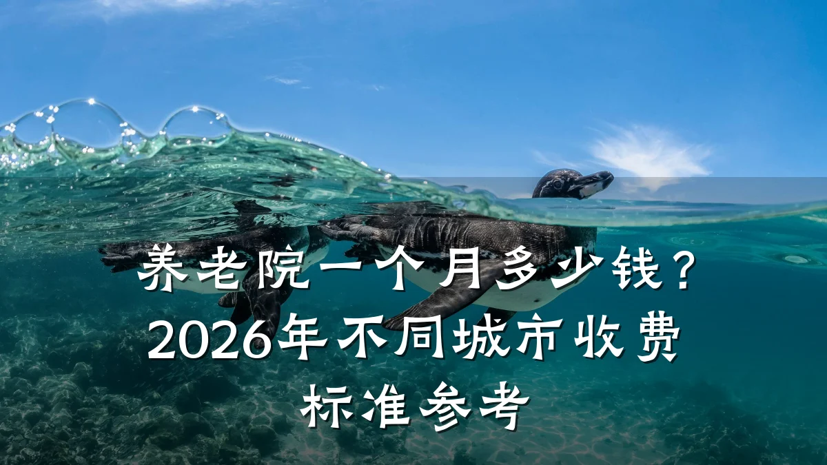 养老院一个月多少钱?2026年不同城市收费标准参考
