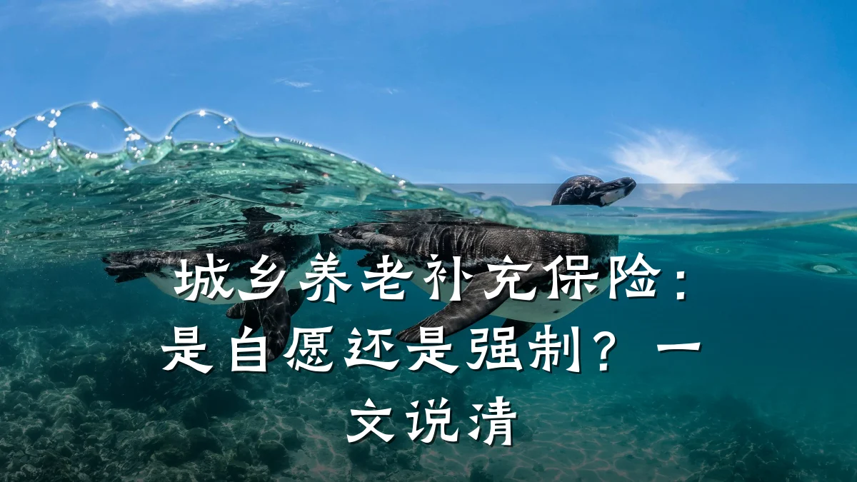 城乡养老补充保险:是自愿还是强制?一文说清