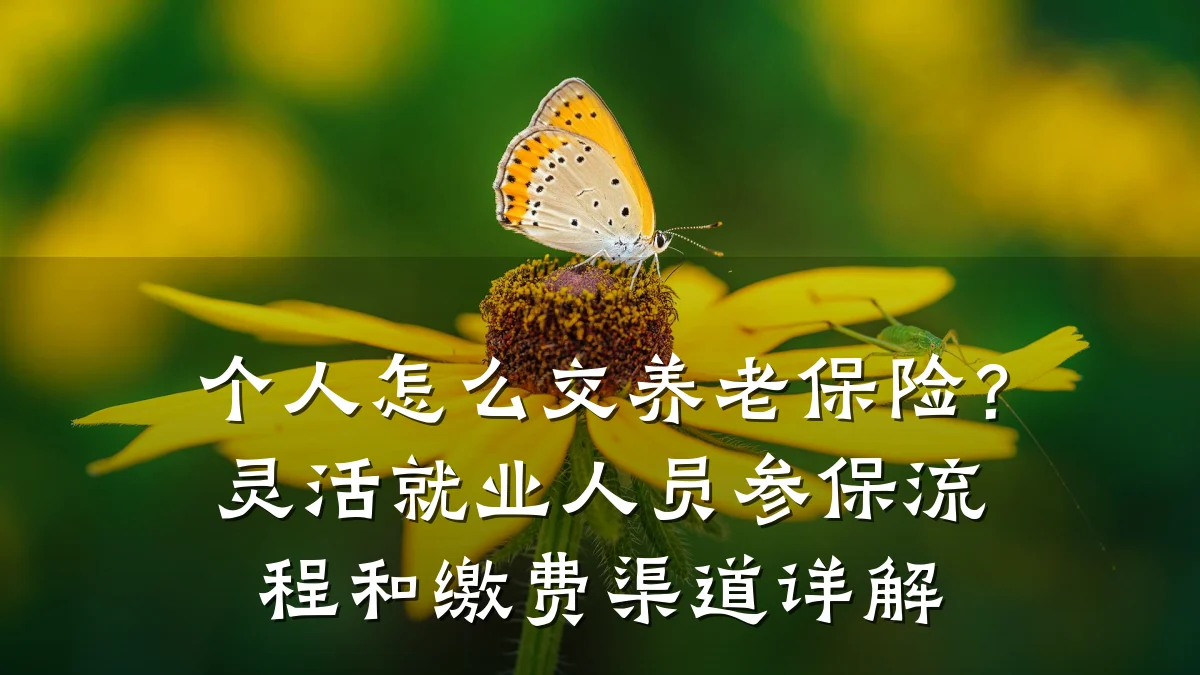 个人怎么交养老保险？灵活就业人员参保流程和缴费渠道详解