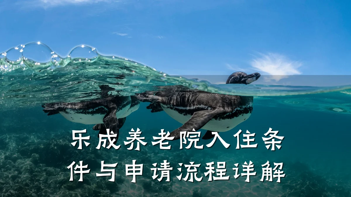 乐成养老院入住条件与申请流程详解
