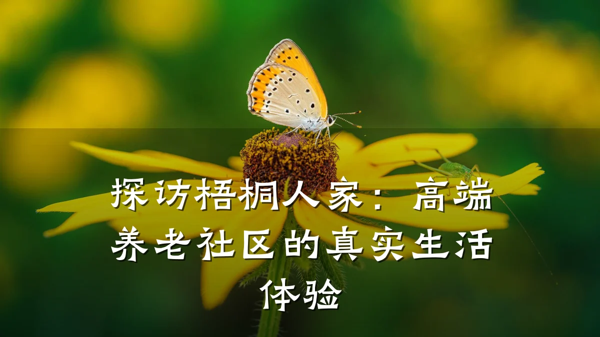 探访梧桐人家：高端养老社区的真实生活体验
