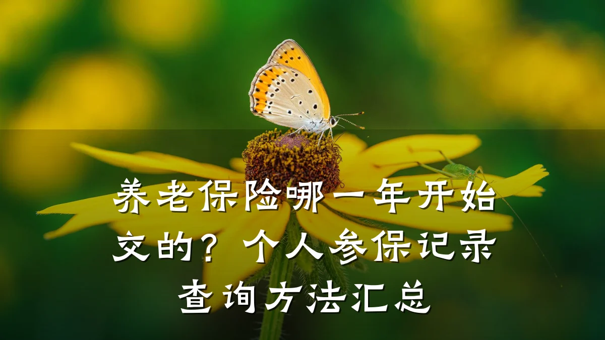 养老保险哪一年开始交的?个人参保记录查询方法汇总
