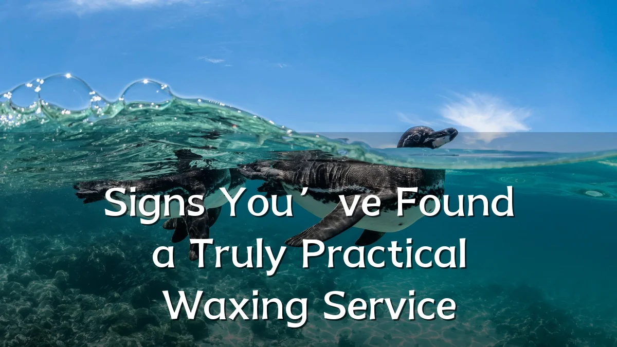 Signs You’ve Found a Truly Practical Waxing Service