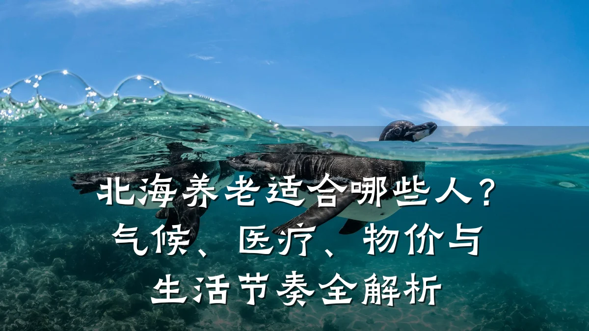 北海养老适合哪些人?气候、医疗、物价与生活节奏全解析