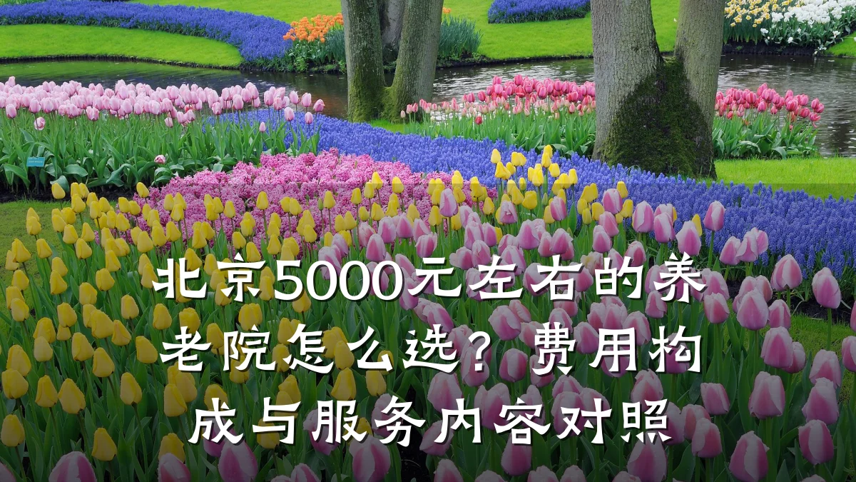 北京5000元左右的养老院怎么选?费用构成与服务内容对照