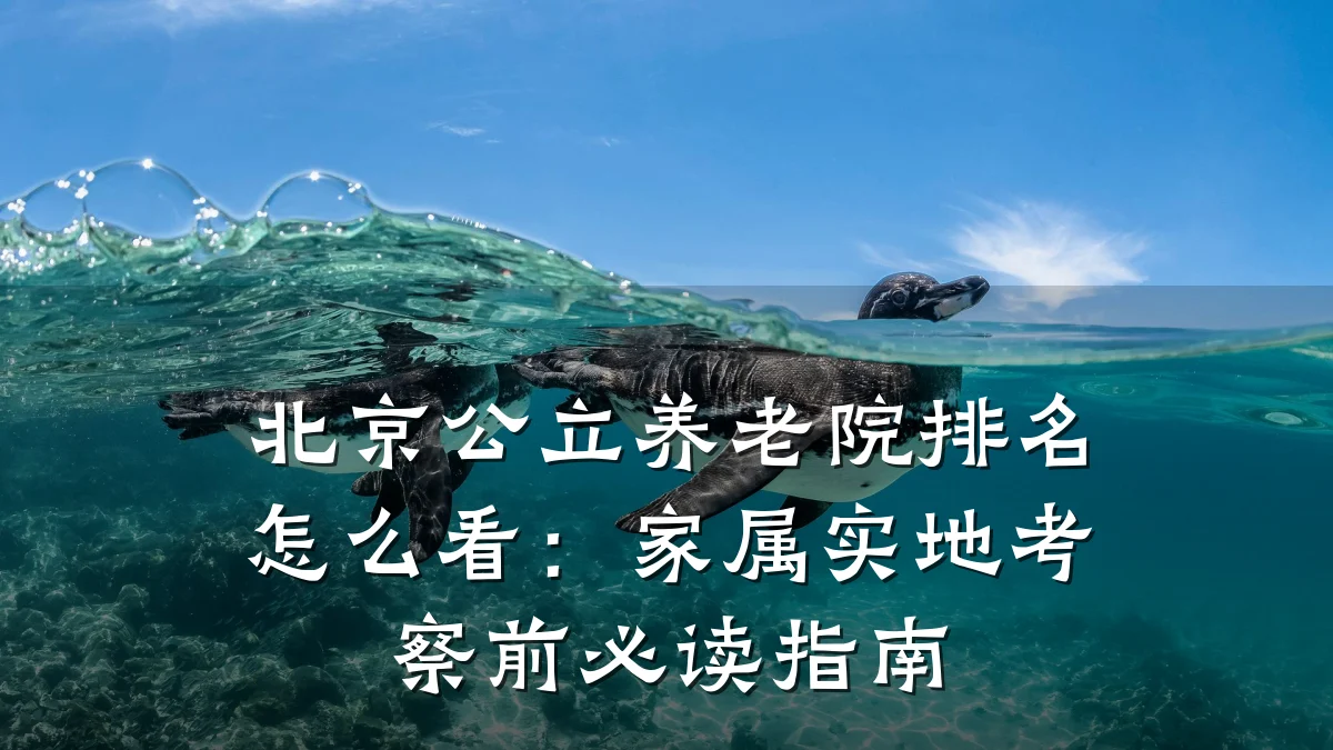 北京公立养老院排名怎么看:家属实地考察前必读指南