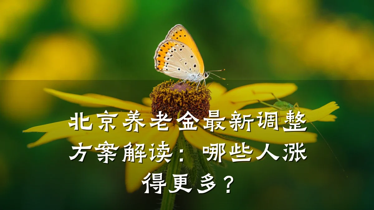 北京养老金最新调整方案解读:哪些人涨得更多?
