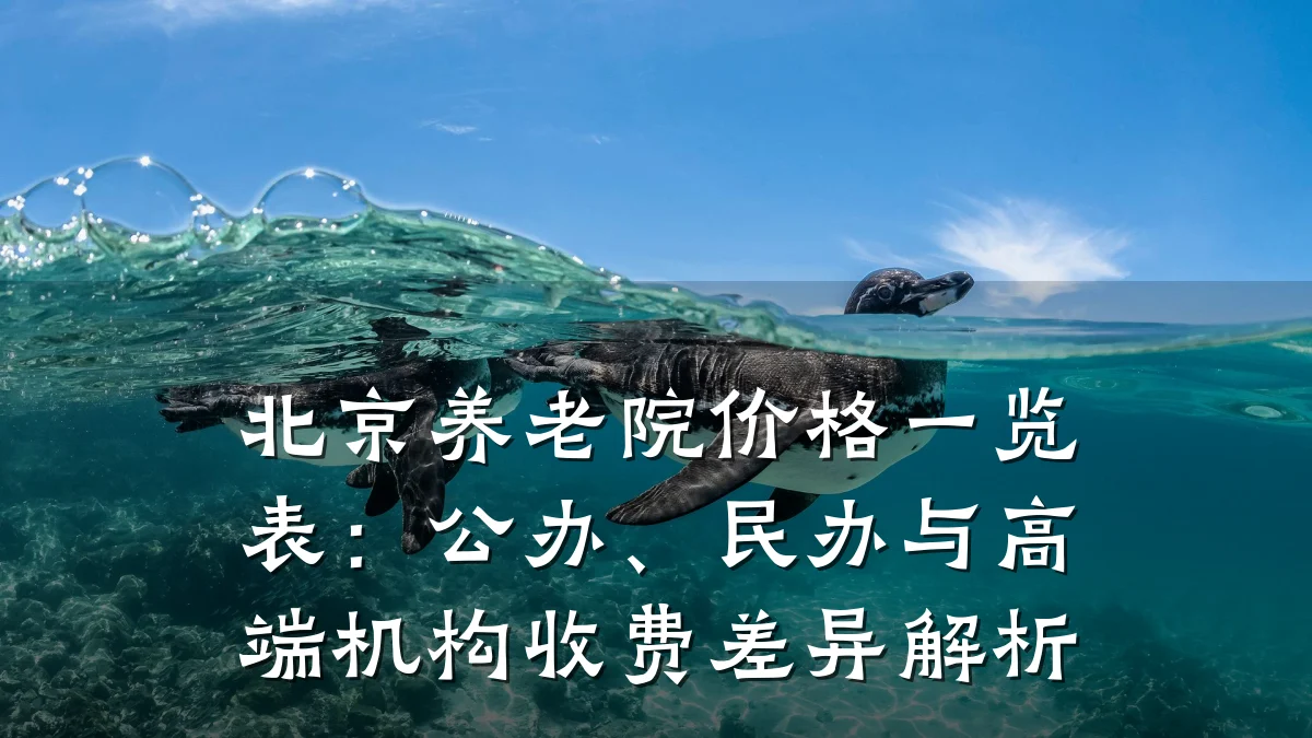 北京养老院价格一览表:公办、民办与高端机构收费差异解析