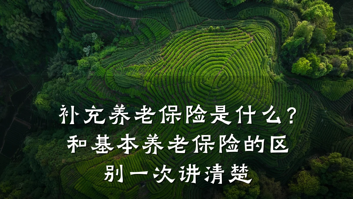补充养老保险是什么？和基本养老保险的区别一次讲清楚