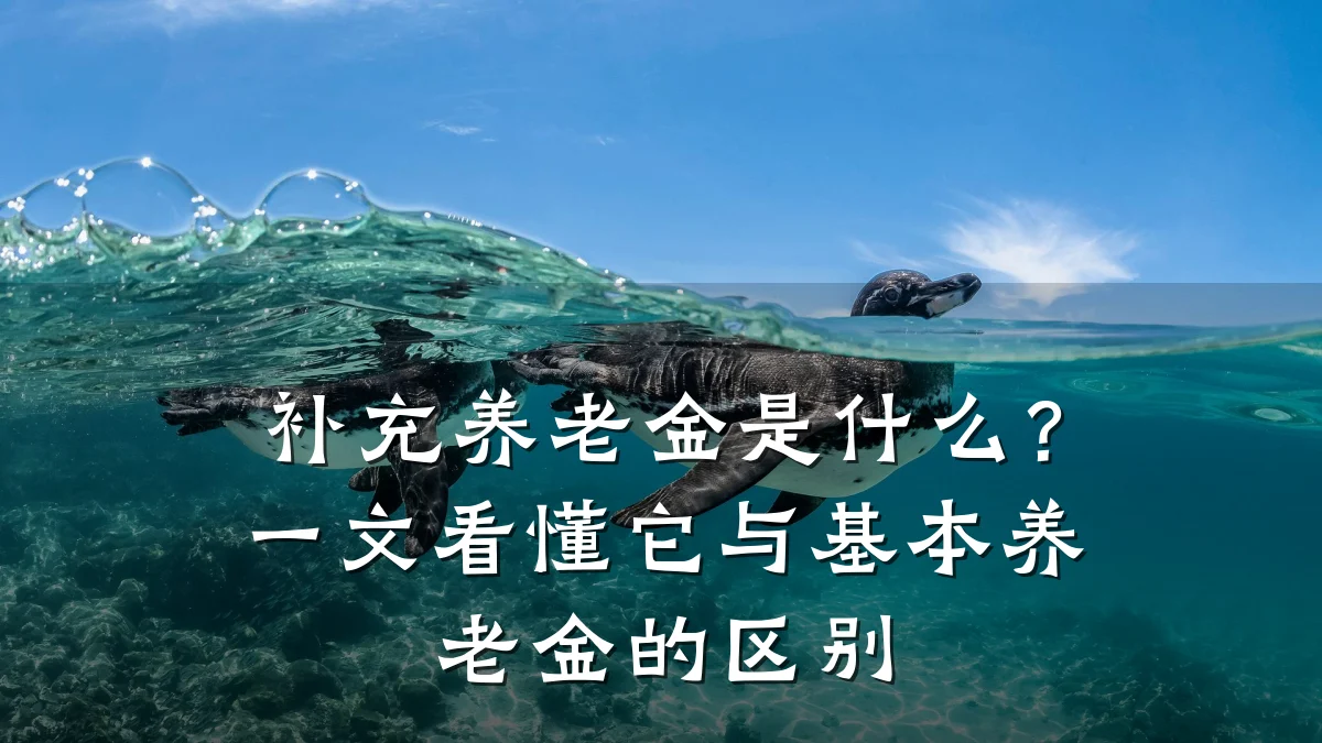 补充养老金是什么?一文看懂它与基本养老金的区别