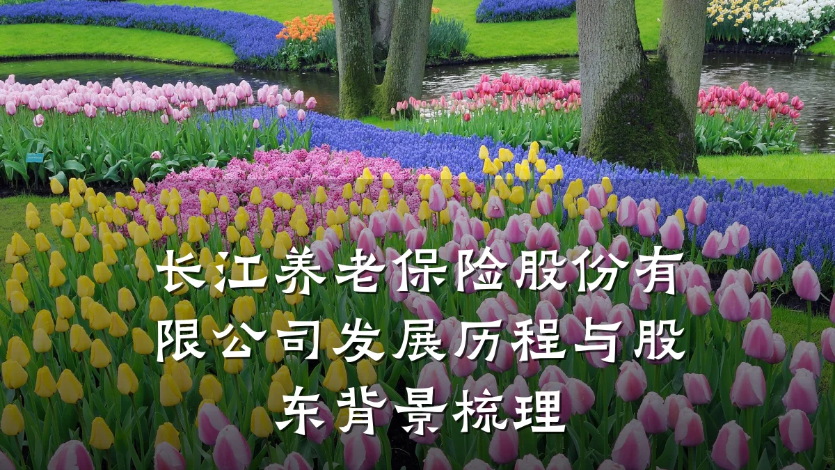 长江养老保险股份有限公司发展历程与股东背景梳理
