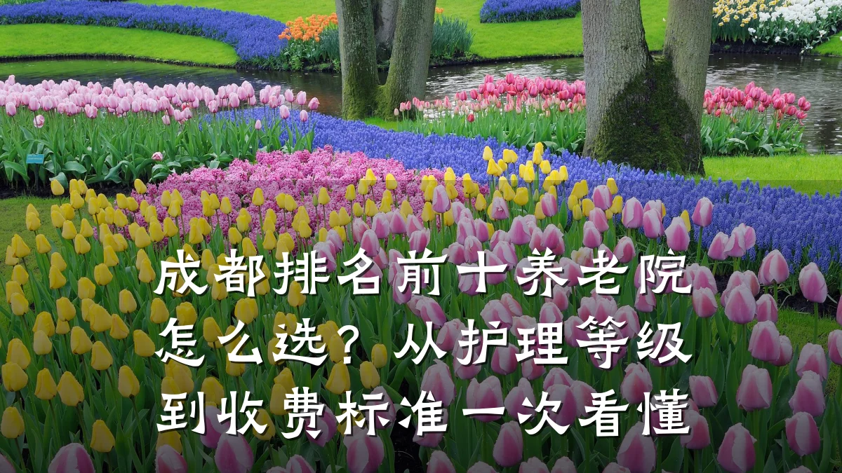 成都排名前十养老院怎么选?从护理等级到收费标准一次看懂