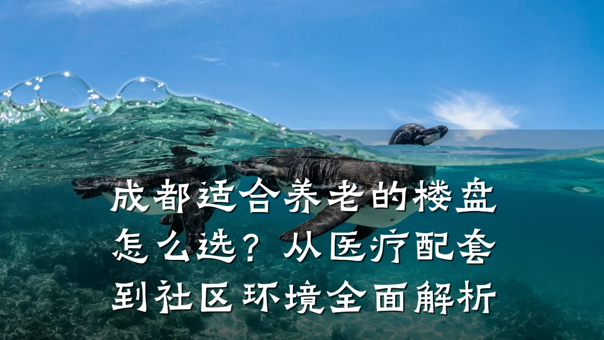 成都适合养老的楼盘怎么选？从医疗配套到社区环境全面解析