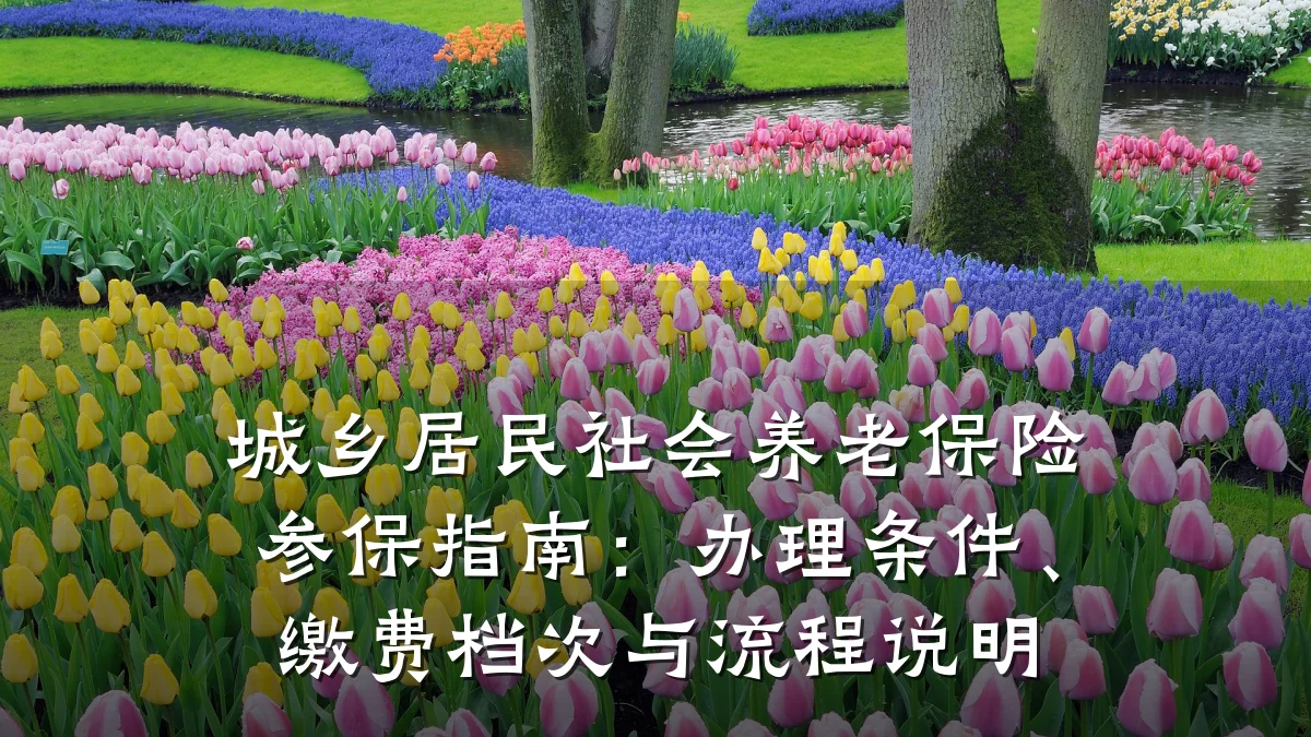 城乡居民社会养老保险参保指南:办理条件、缴费档次与流程说明