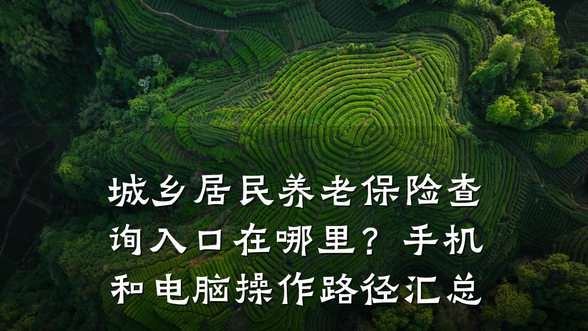 城乡居民养老保险查询入口在哪里?手机和电脑操作路径汇总