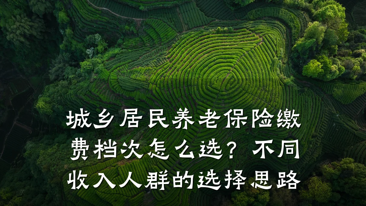 城乡居民养老保险缴费档次怎么选?不同收入人群的选择思路