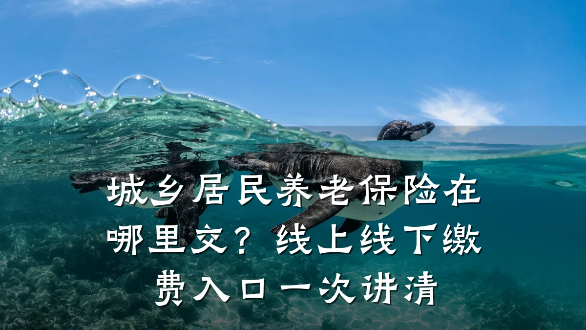 城乡居民养老保险在哪里交?线上线下缴费入口一次讲清