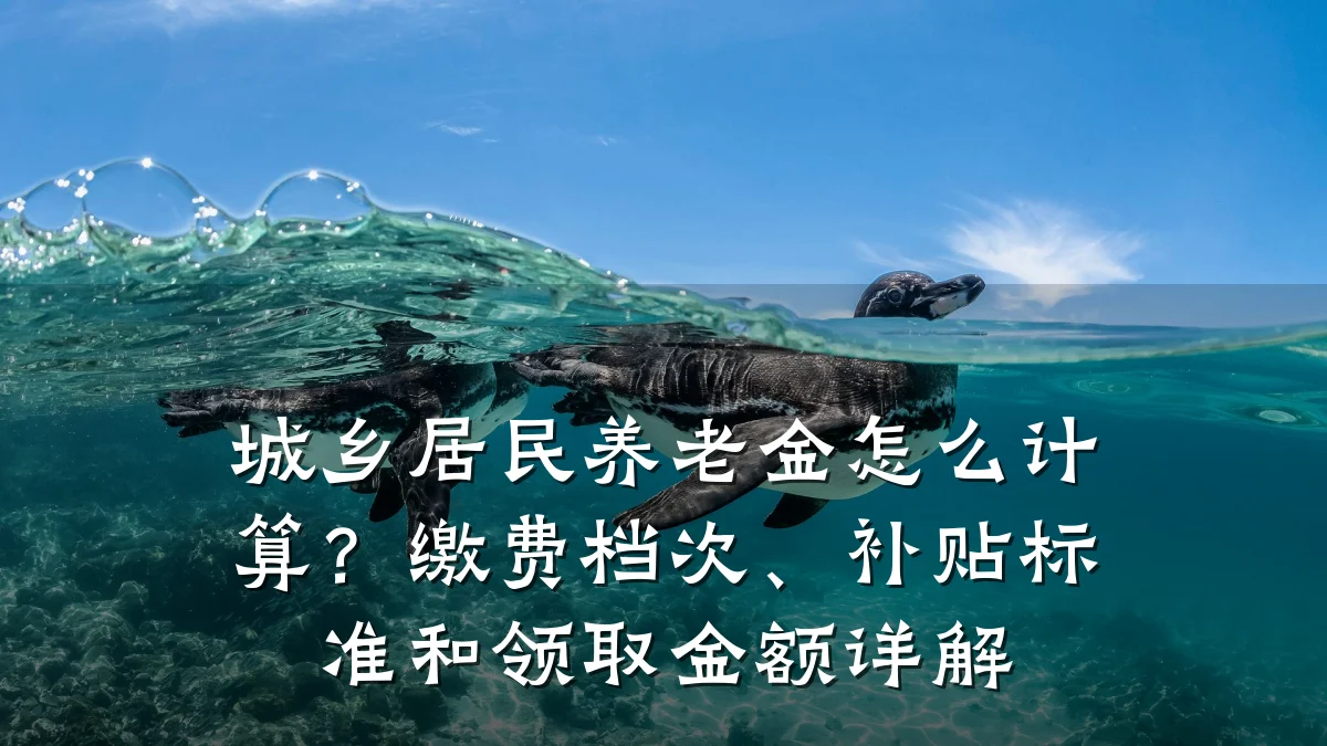 城乡居民养老金怎么计算？缴费档次、补贴标准和领取金额详解