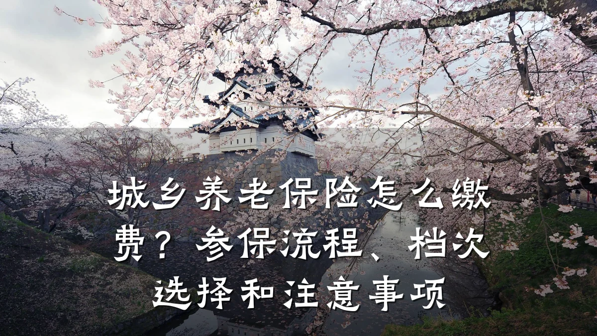 城乡养老保险怎么缴费？参保流程、档次选择和注意事项