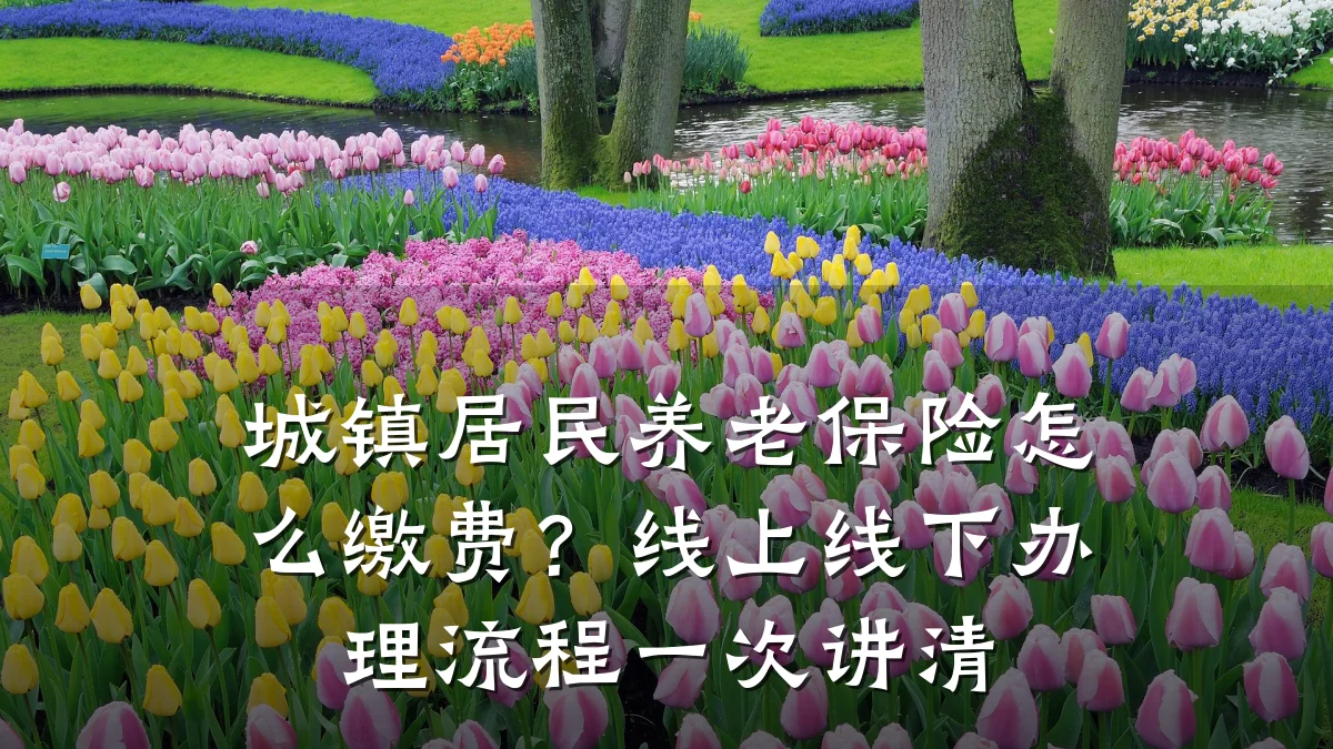 城镇居民养老保险怎么缴费?线上线下办理流程一次讲清