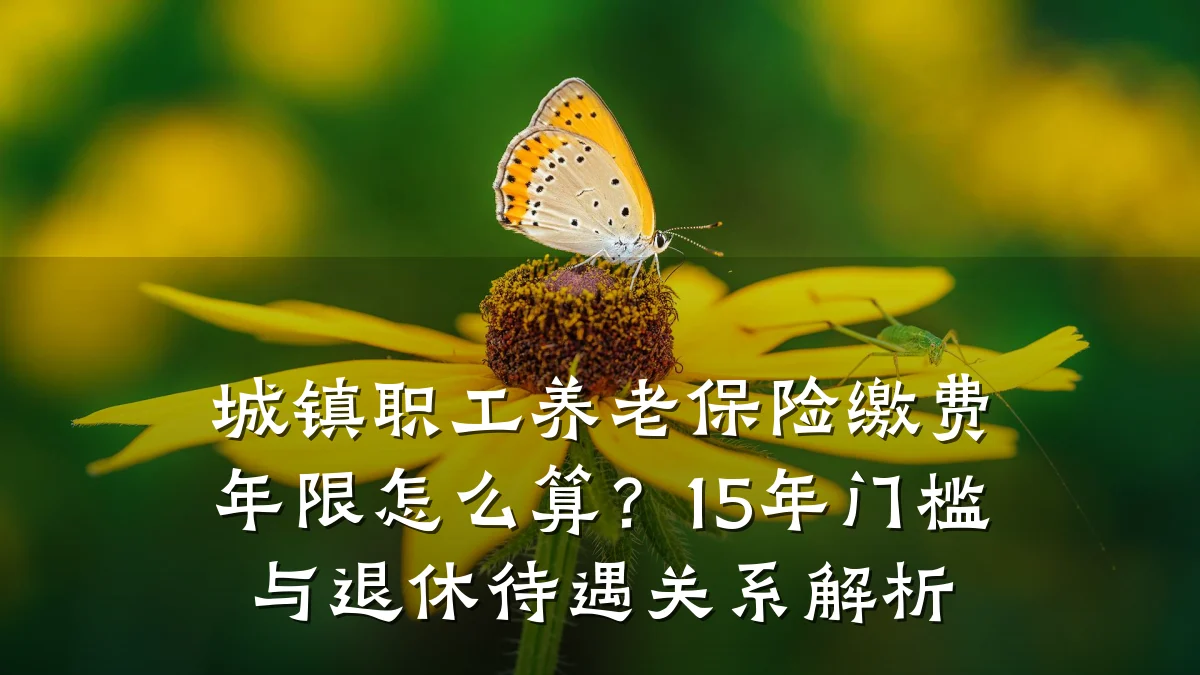 城镇职工养老保险缴费年限怎么算？15年门槛与退休待遇关系解析