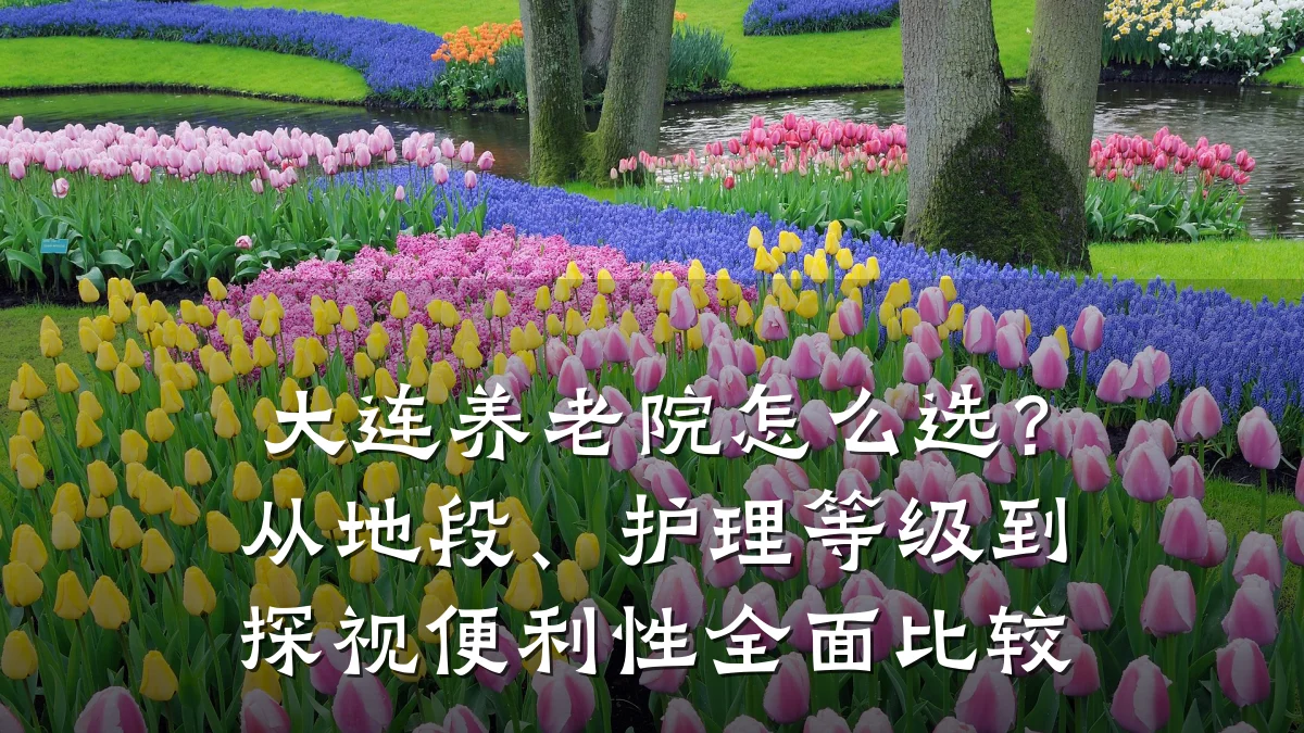 大连养老院怎么选？从地段、护理等级到探视便利性全面比较