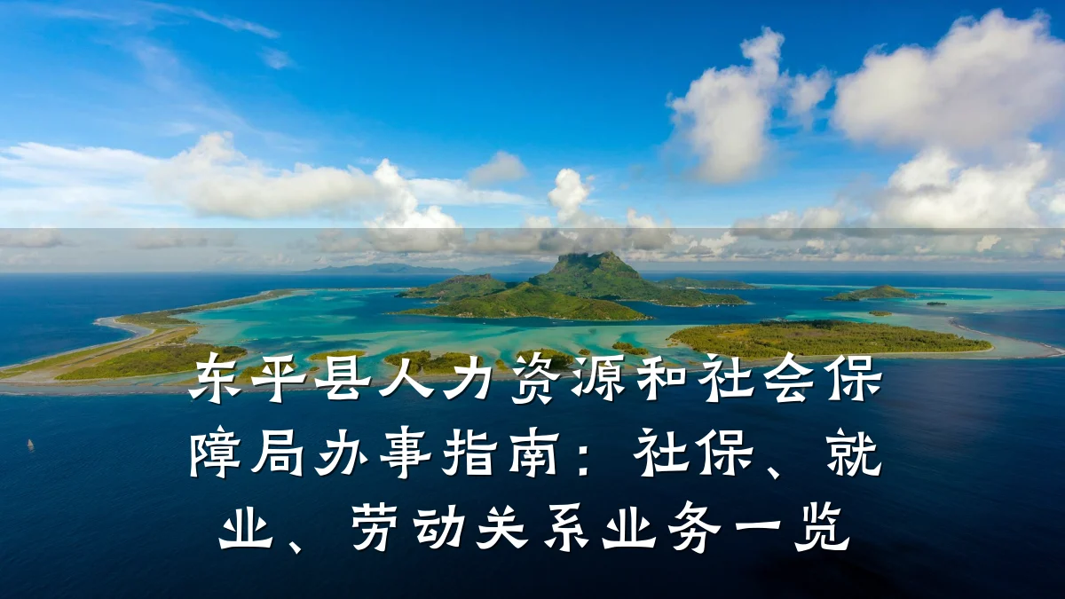 东平县人力资源和社会保障局办事指南:社保、就业、劳动关系业务一览