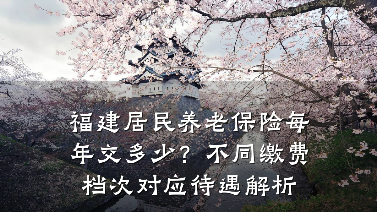 福建居民养老保险每年交多少?不同缴费档次对应待遇解析