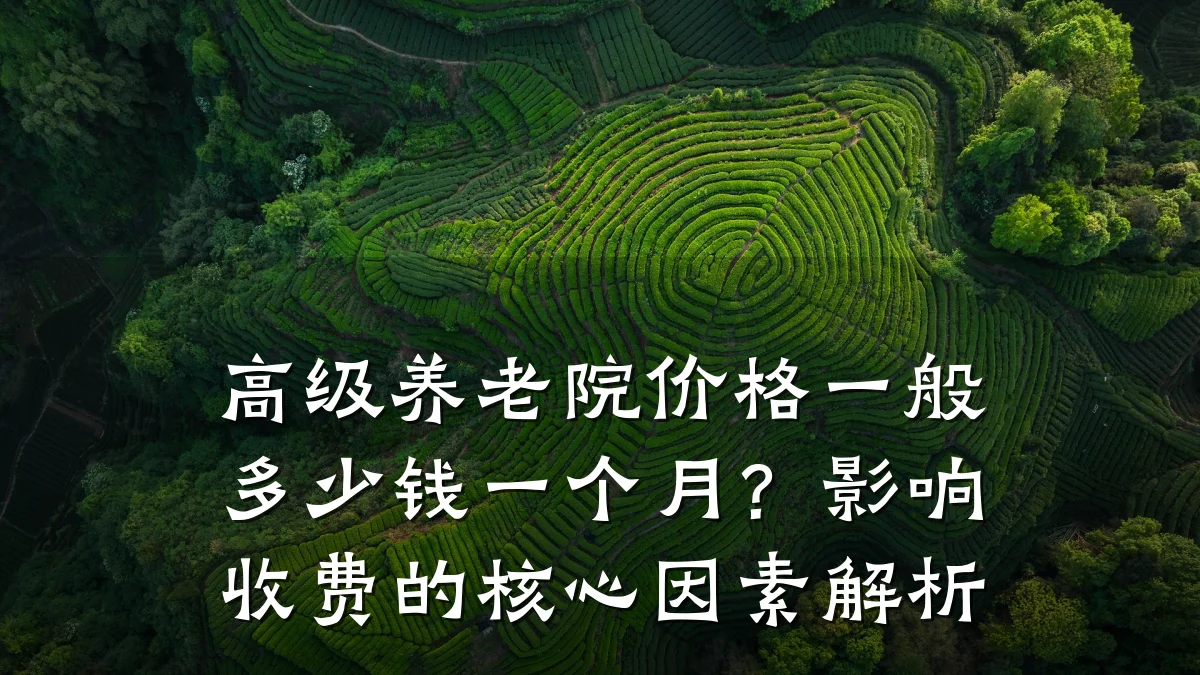 高级养老院价格一般多少钱一个月?影响收费的核心因素解析