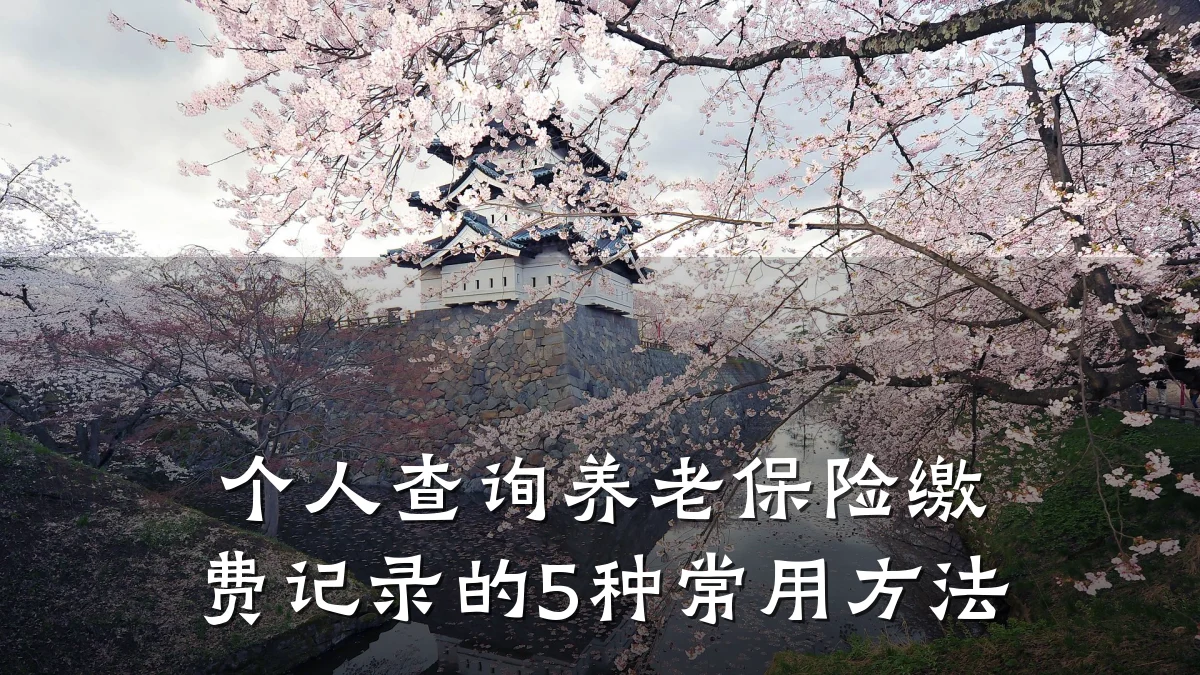 个人查询养老保险缴费记录的5种常用方法