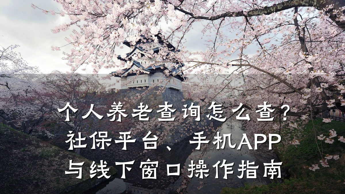 个人养老查询怎么查?社保平台、手机APP与线下窗口操作指南