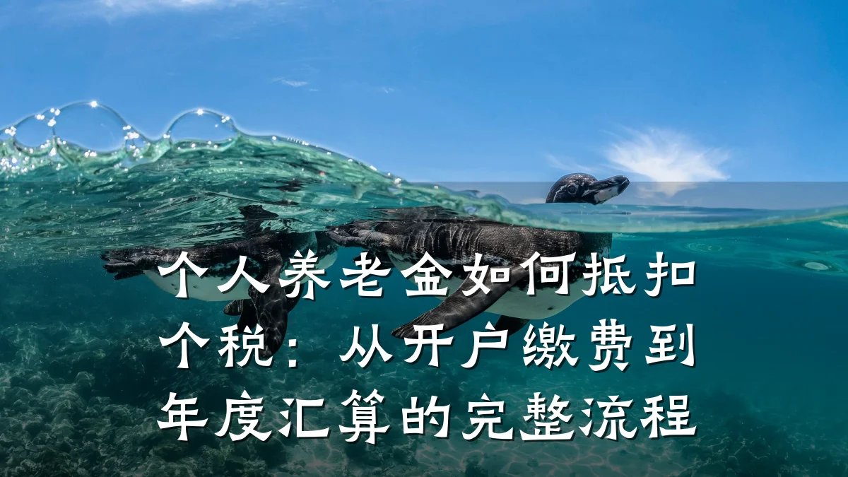 个人养老金如何抵扣个税：从开户缴费到年度汇算的完整流程