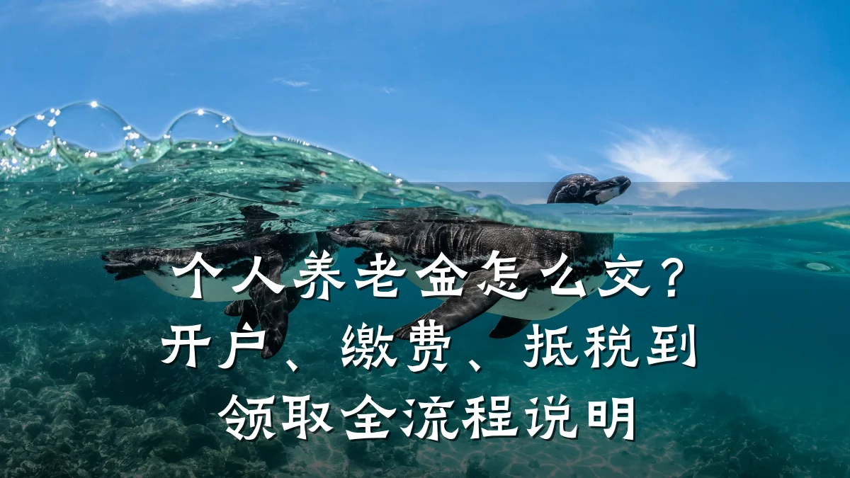 个人养老金怎么交？开户、缴费、抵税到领取全流程说明