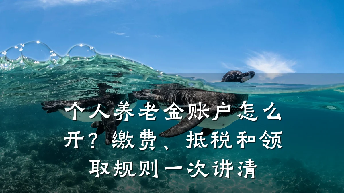个人养老金账户怎么开?缴费、抵税和领取规则一次讲清