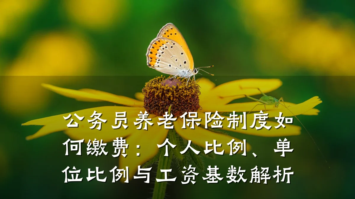 公务员养老保险制度如何缴费：个人比例、单位比例与工资基数解析