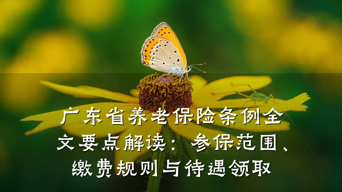 广东省养老保险条例全文要点解读:参保范围、缴费规则与待遇领取