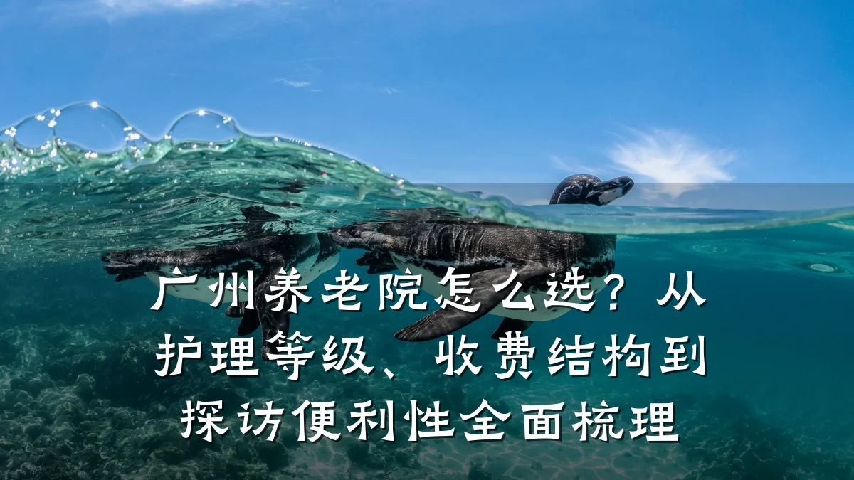 广州养老院怎么选?从护理等级、收费结构到探访便利性全面梳理