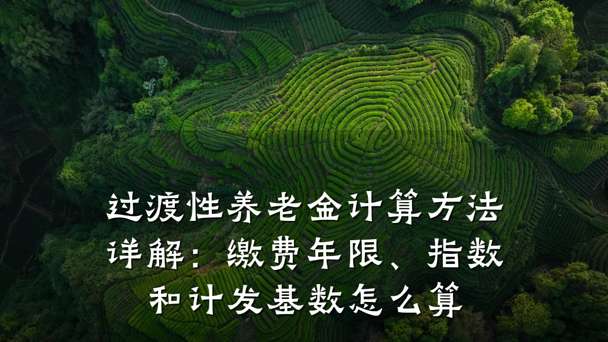 过渡性养老金计算方法详解:缴费年限、指数和计发基数怎么算
