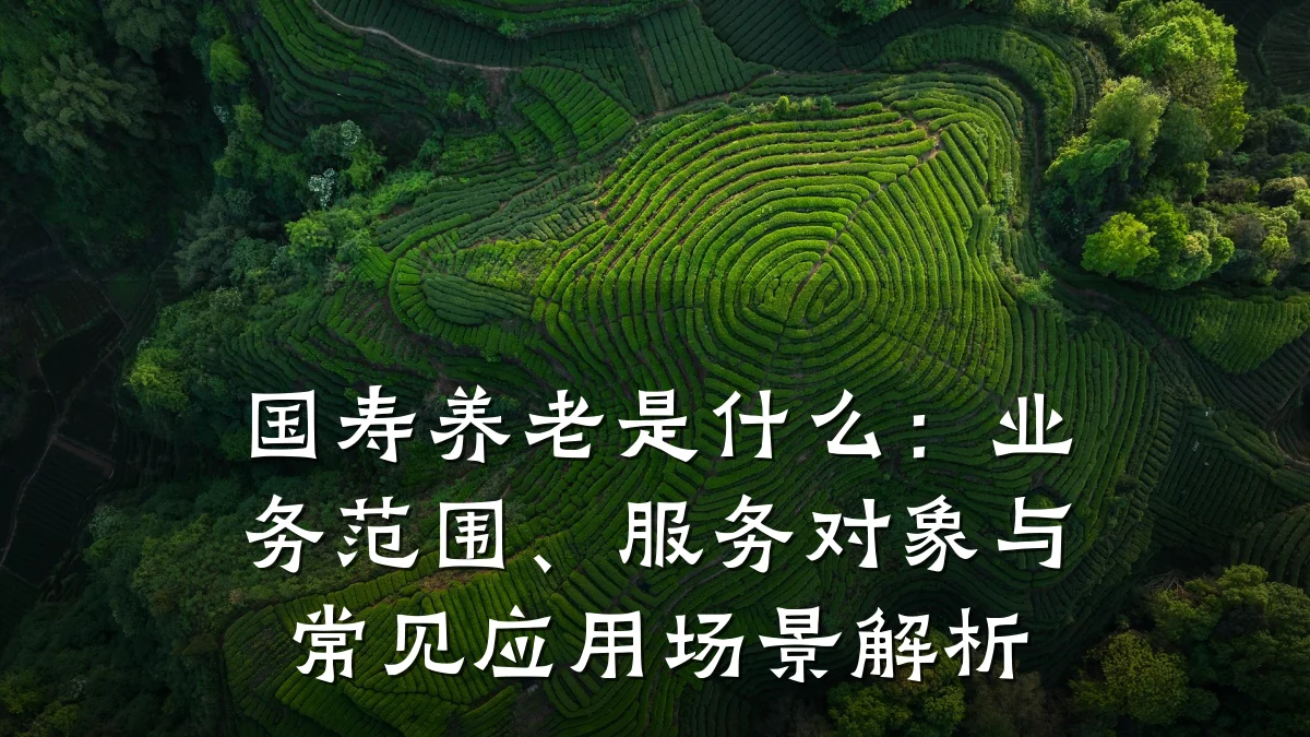 国寿养老是什么:业务范围、服务对象与常见应用场景解析