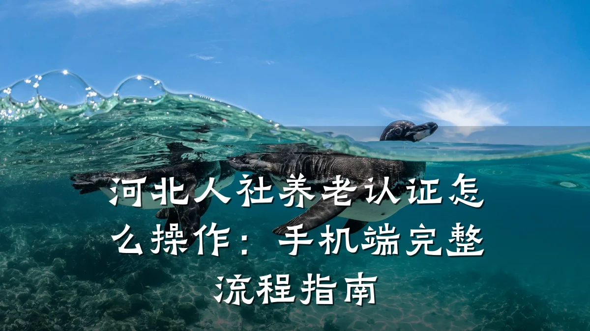 河北人社养老认证怎么操作:手机端完整流程指南