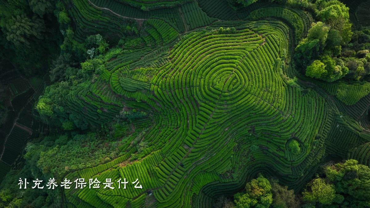 补充养老保险是什么