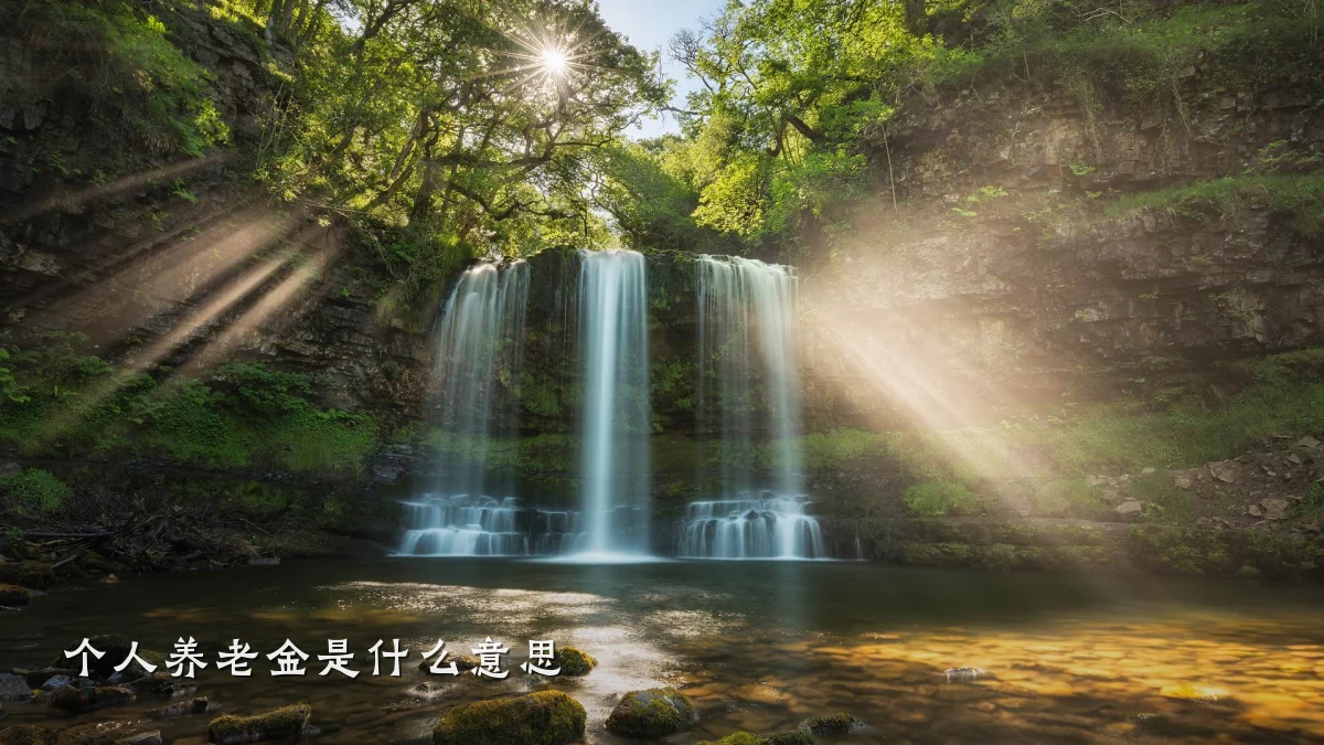 个人养老金是什么意思