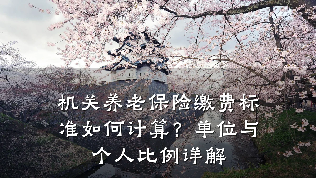 机关养老保险缴费标准如何计算？单位与个人比例详解