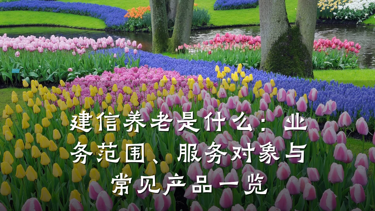 建信养老是什么:业务范围、服务对象与常见产品一览