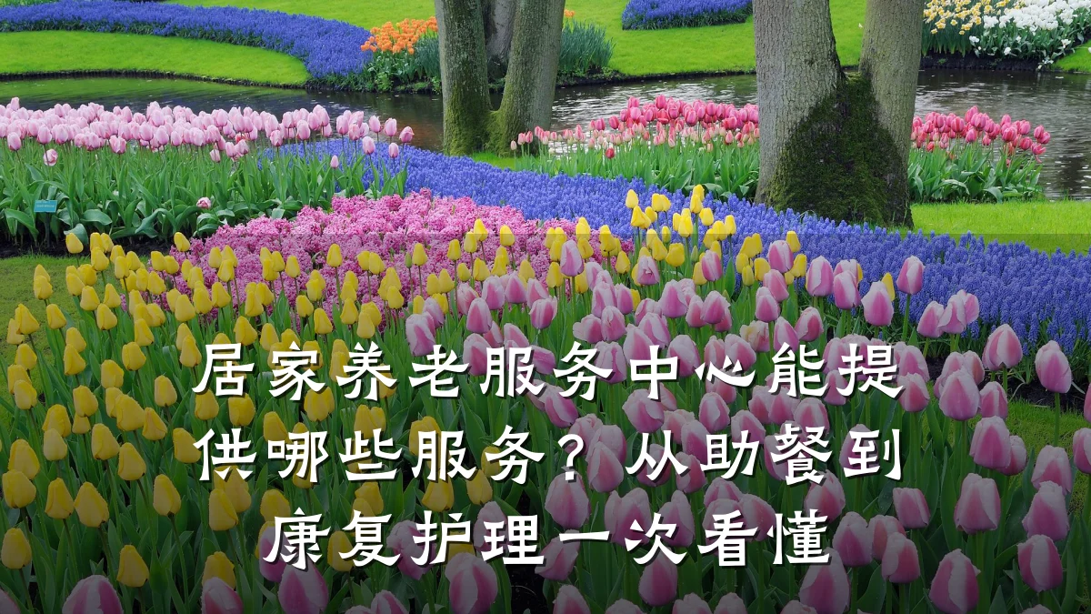 居家养老服务中心能提供哪些服务?从助餐到康复护理一次看懂