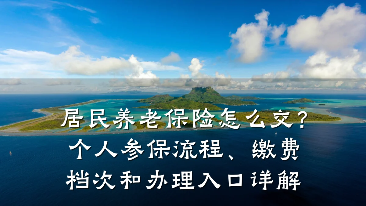 居民养老保险怎么交?个人参保流程、缴费档次和办理入口详解