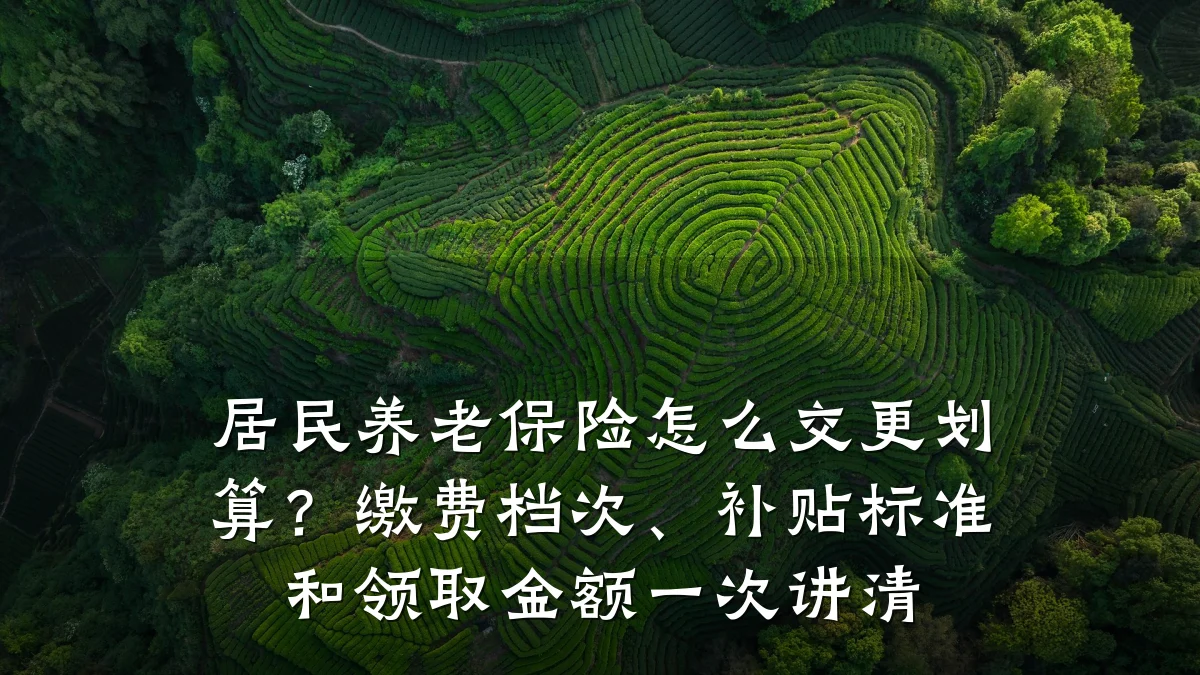 居民养老保险怎么交更划算?缴费档次、补贴标准和领取金额一次讲清